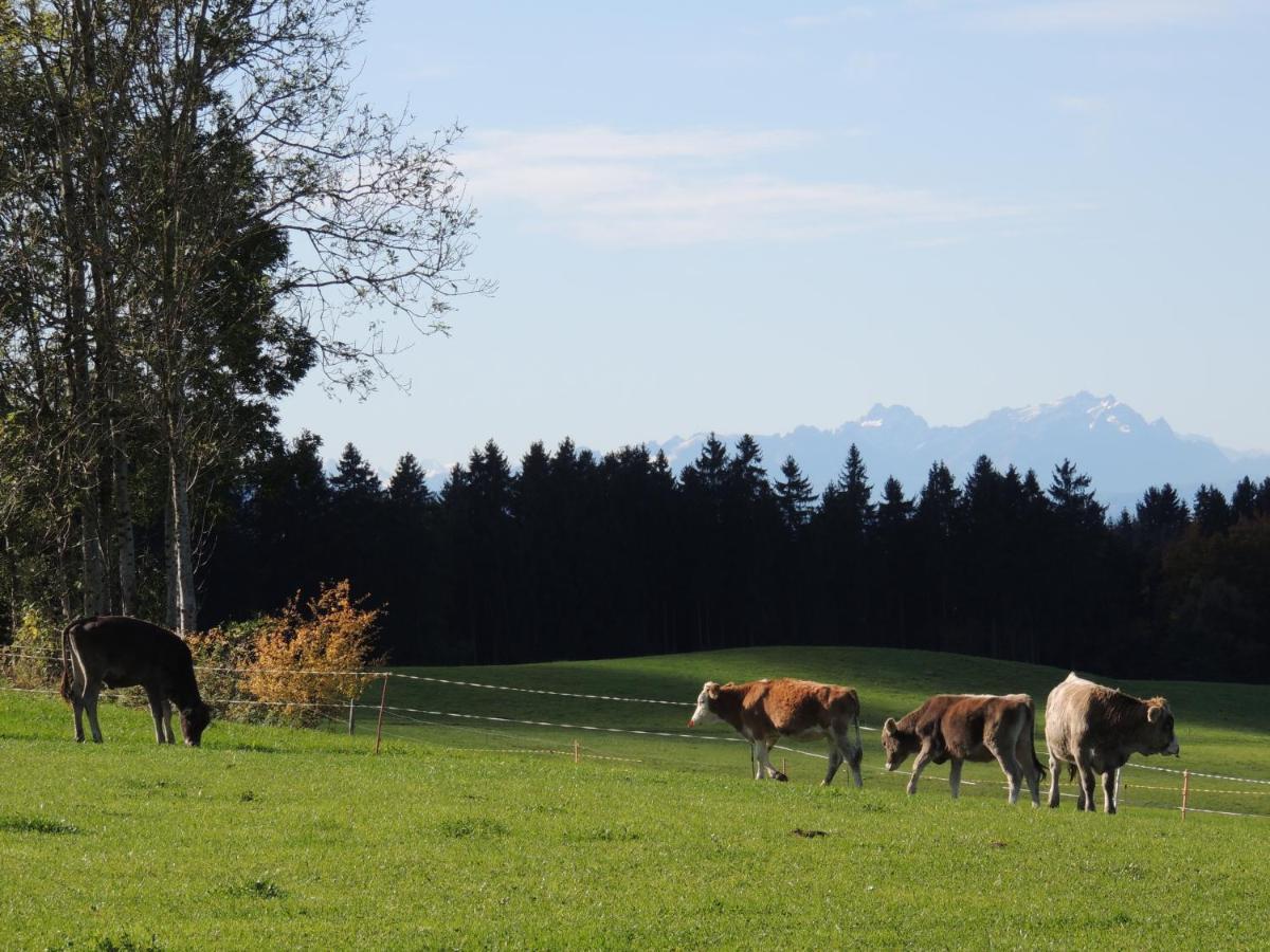 Ferienwohnung Butscher Isny im Allgäu Kültér fotó
